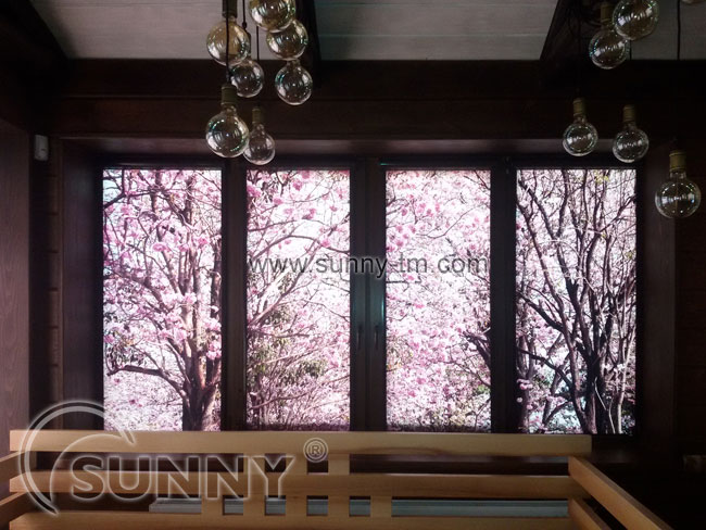 Photo printing on Roller and Roman blinds!